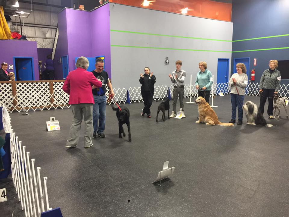 Photo Gallery Staten Island Companion Dog Training Club, Inc.75 Ellis Street, Staten Island